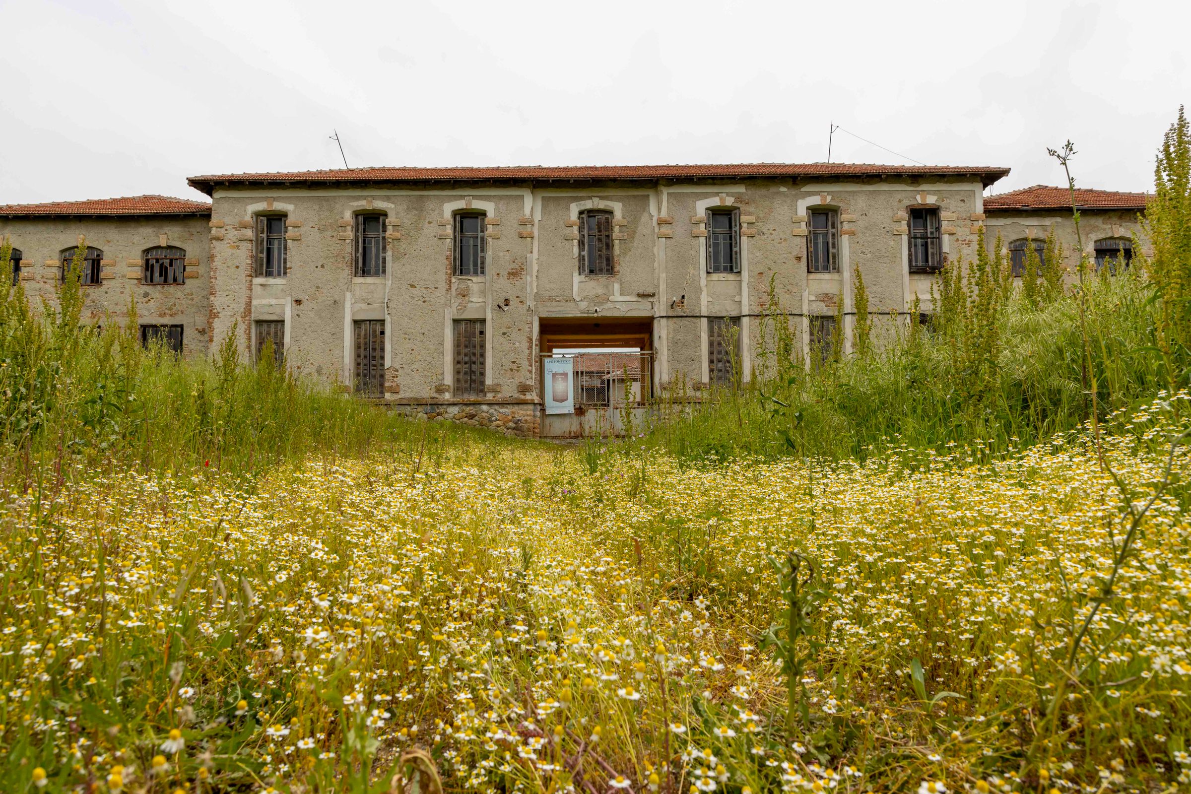 Industria de la seda crisálida 